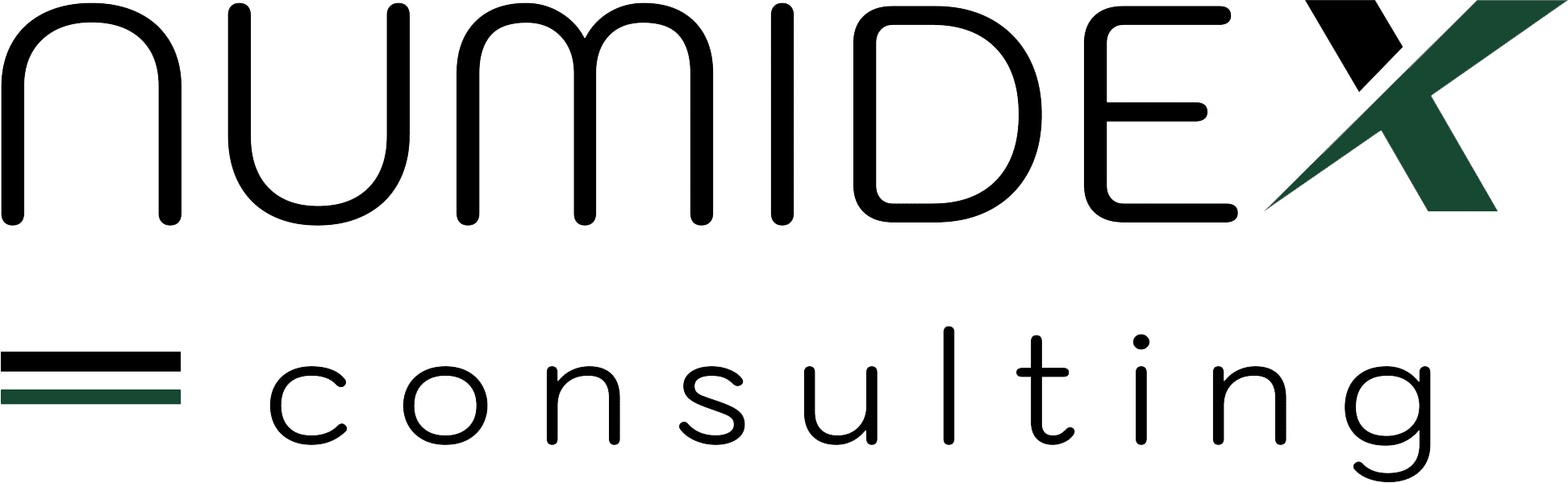 Logo Numidex Consulting