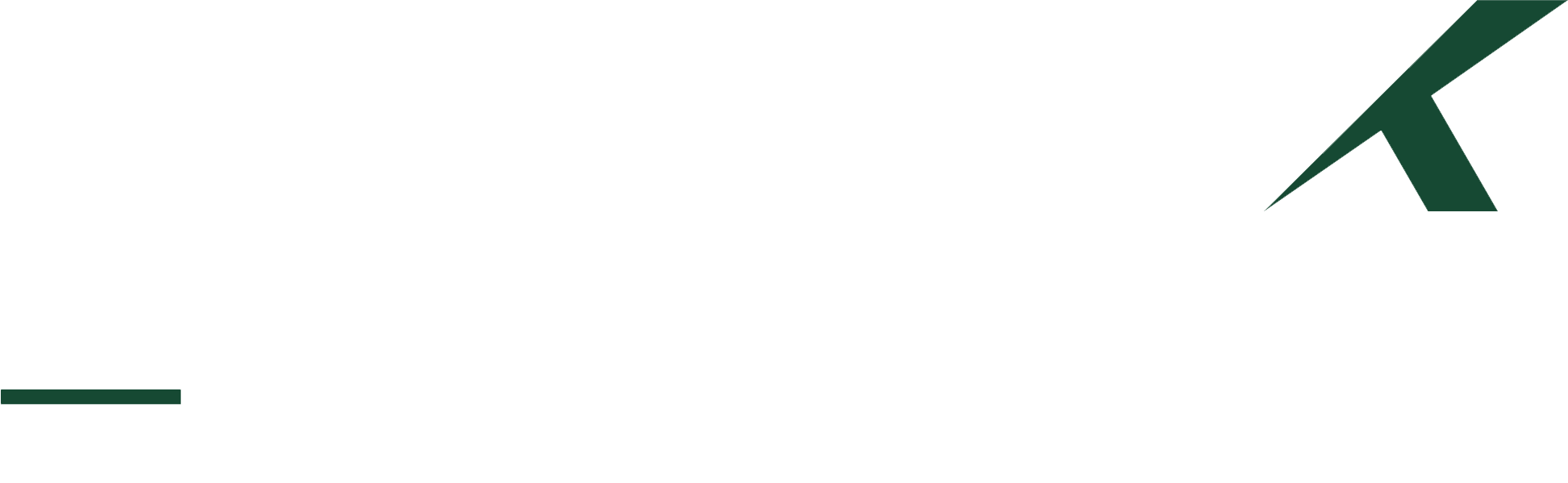 Logo Numidex