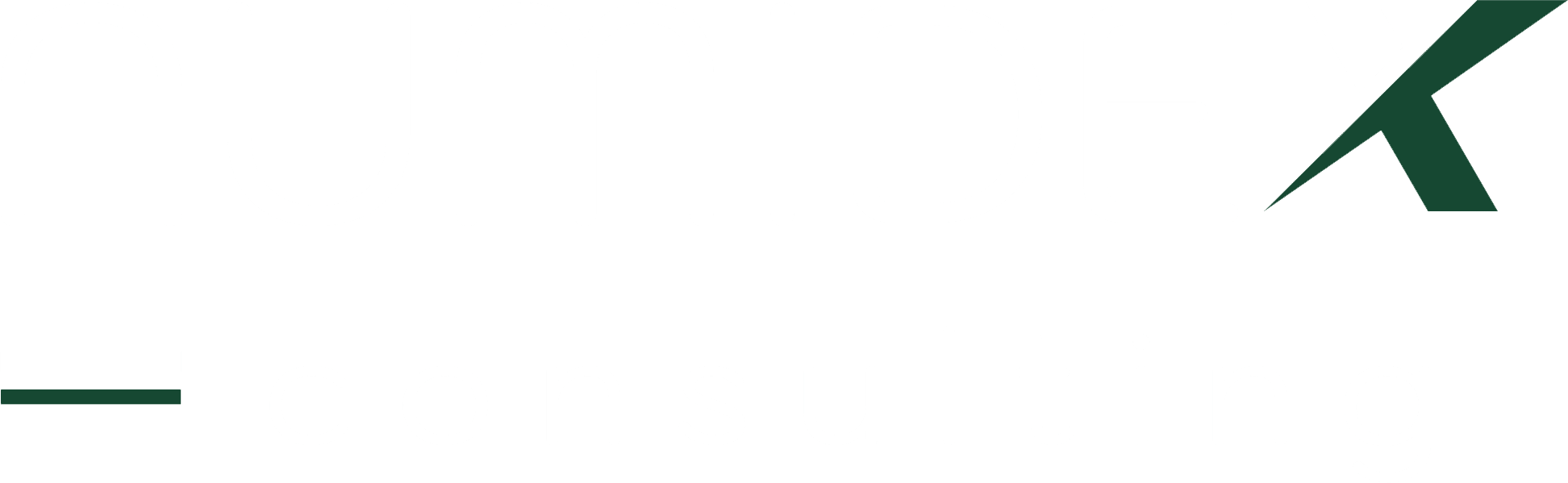 Numidex Logo